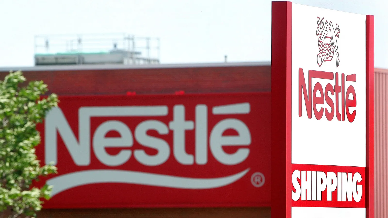 Nestlé Automates Creator Content into Paid Media