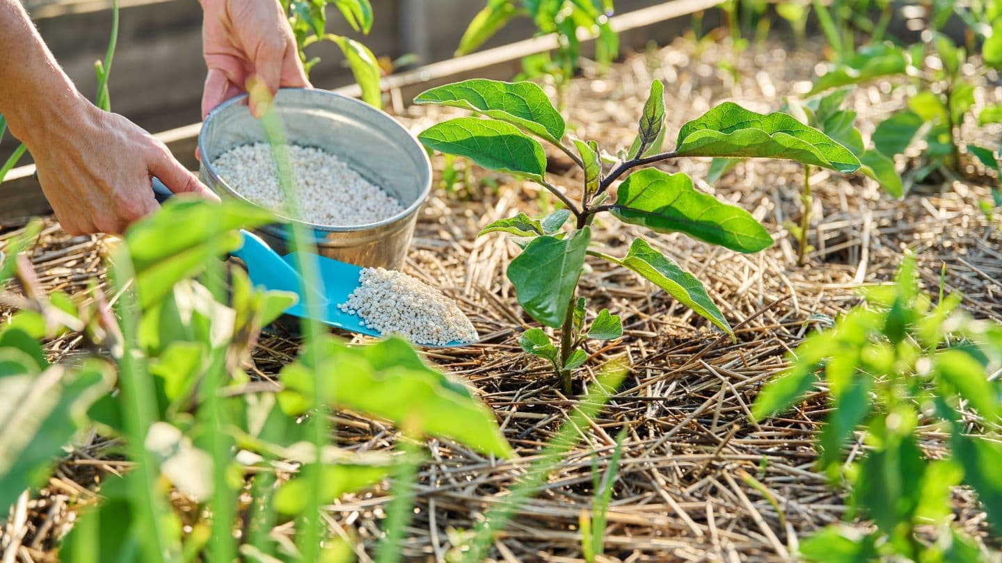 EU suspends fertiliser tariffs for one year
